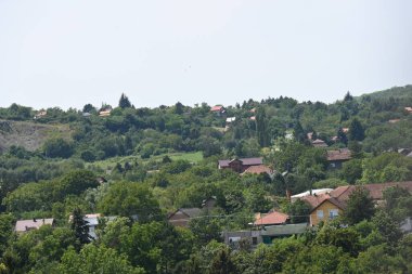 Binalar ve ağaçlarla çevrili manzara