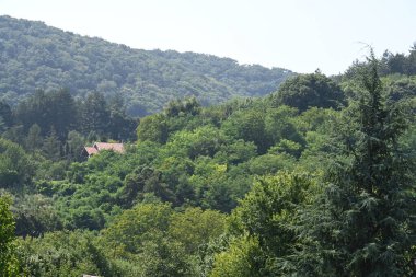 Yeşil dağları olan şehir mimarisi manzarası
