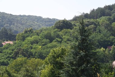 Yeşil dağları olan şehir mimarisi manzarası