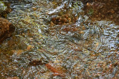 beautiful view of a mountain stream