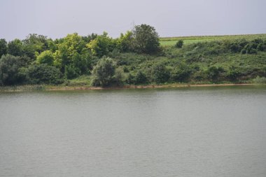 Yazın gölü olan güzel bir manzara.