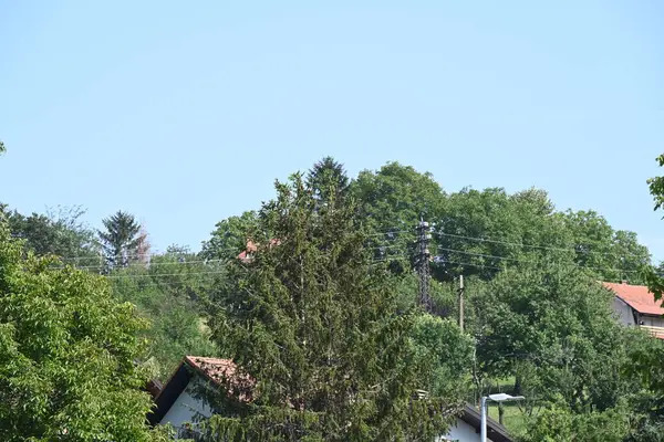 Vista Paisagem Com Edifícios Árvores — Fotografia de Stock