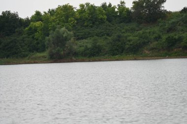 Yazın güzel göl manzarası