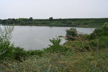 Yazın güzel göl manzarası