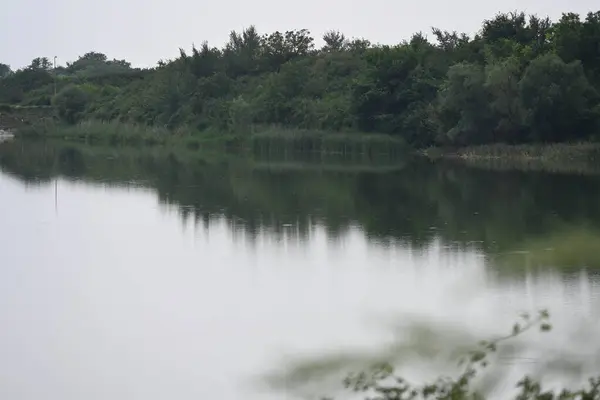 Вид Красивое Озеро Летом — стоковое фото
