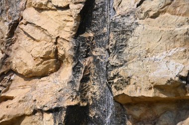 Ormanda güzel bir şelale