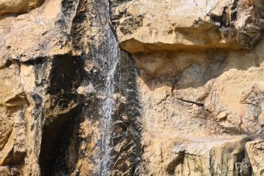 Ormanda güzel bir şelale