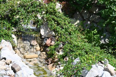 Su akışı, parkta akış. 