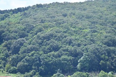 Mavi gökyüzü arka plan üzerinde Yeşil dağlar