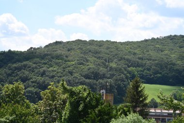 Mavi gökyüzü arka plan üzerinde yeşil ağaçlar