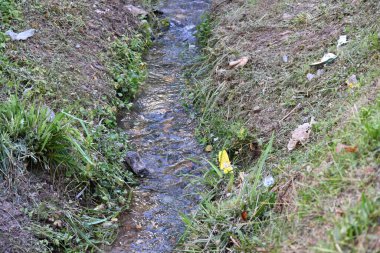 beautiful view of a mountain stream