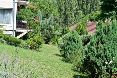 Yerel binaların olduğu yeşil köyün manzarası