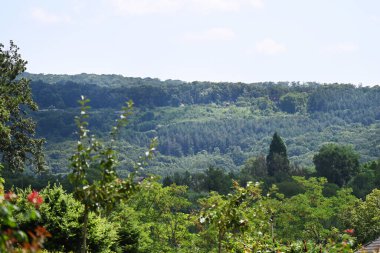 Dağ manzaralı güzel yeşil ağaçlar.