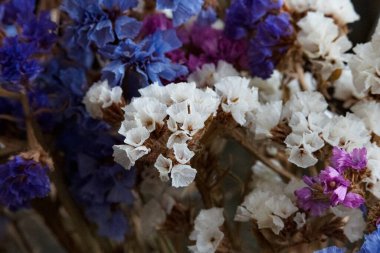 Güzel çiçekler, yaz konsepti, yakın manzara.