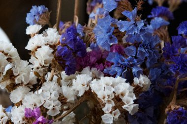 Güzel çiçekler, yaz konsepti, yakın manzara.