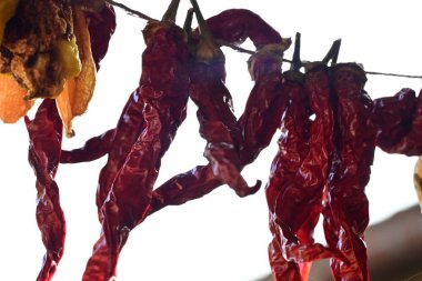 Biberler güneşte kuruyor. 