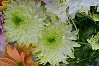 Bahçede güzel bir buket çiçek