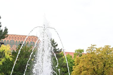 Park şehrindeki çeşme.