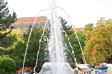 Parktaki güzel çeşme 