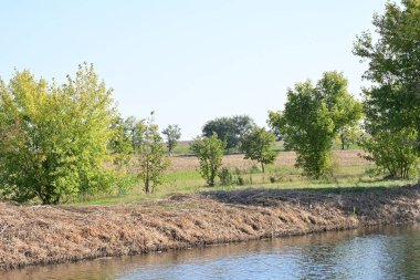 Yazın güzel göl manzarası