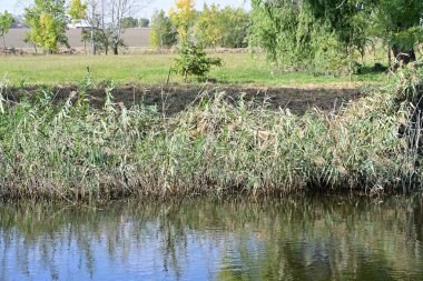 Yazın güzel göl manzarası