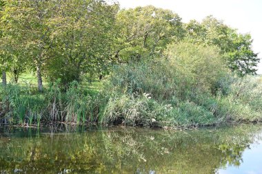 Yazın güzel göl manzarası
