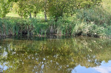 Yazın güzel göl manzarası