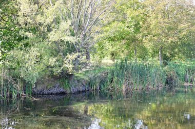 Yazın güzel göl manzarası