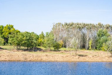 Yazın güzel göl manzarası