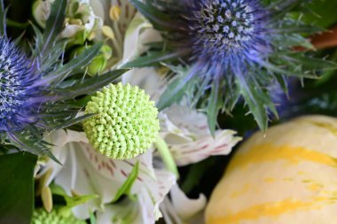 Bahçedeki güzel çiçekler