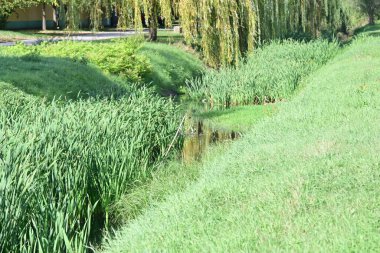 Nehrin yeşil parktaki güzel manzarası