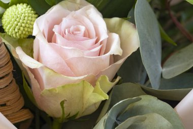 güzel düğün buketi, close up