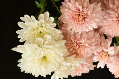 İnanılmaz çiçeklere yakın.