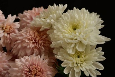 Siyah arka planda güzel bir buket çiçek.