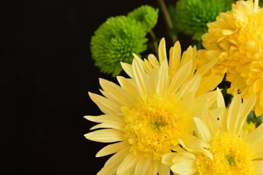 Güzel parlak çiçekleri kapatın.