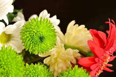 Bahçedeki güzel çiçekler