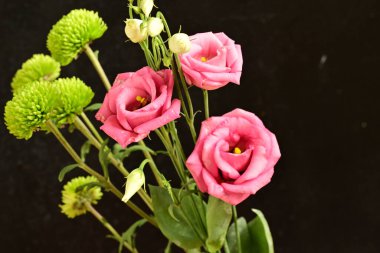 güzel parlak Çiçekler, yakın