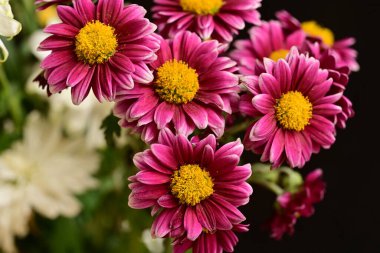 beautiful flowers bouquet, close up