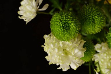 Güzel çiçekler, çiçek konsepti