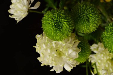 Güzel çiçekler, çiçek konsepti