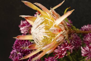 Güzel çiçeklerin güzel manzarasını kapat.