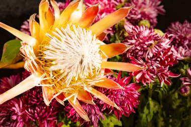 güzel çiçekler, yakın çekim