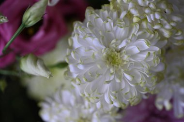 beautiful flowers bouquet, close up