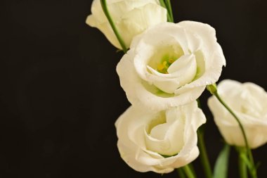 Güzel bir buket çiçek.