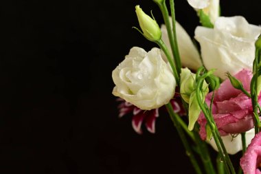 Siyah arka planda güzel bir buket çiçek.