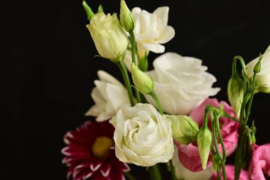 Koyu arkaplanda güzel beyaz çiçekler, yakın görüş.