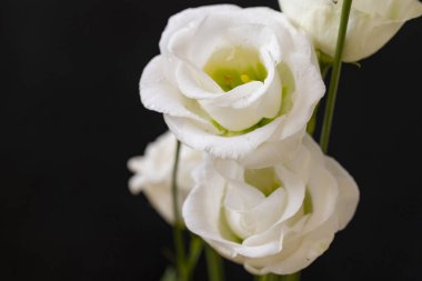 Güzel bir buket çiçek.