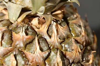 Ananas meyvesi, manzarayı kapat 