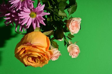 Parlak çiçekleri kapatın. Stüdyo çekimi