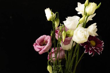 İzole edilmiş arkaplanda çiçekleri kapat.